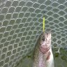 Magic Stick 0,9g 004