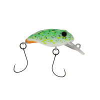 Golovastik SF-SR 254