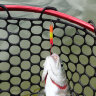 Iron Stick 1,6g 041