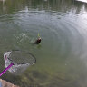 Magic Stick 1,2g 004