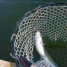 Iron Stick 2,1g 132