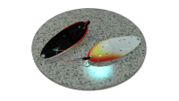 Carabus 2,5g 008