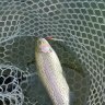 Iron Stick 2,8g 008