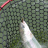 Magic Stick UL 321