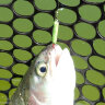 Magic Stick UL 322