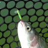 Magic Stick UL 322